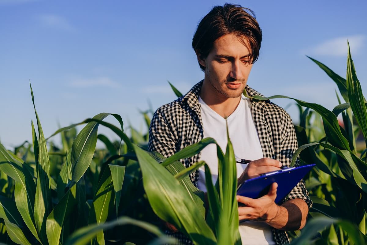 Tendências do agronegócio para o contador rural