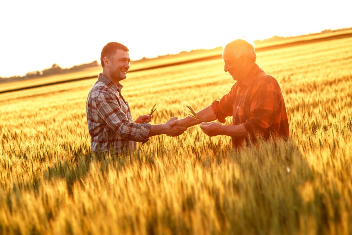 Consultoria contábil para o agronegócio