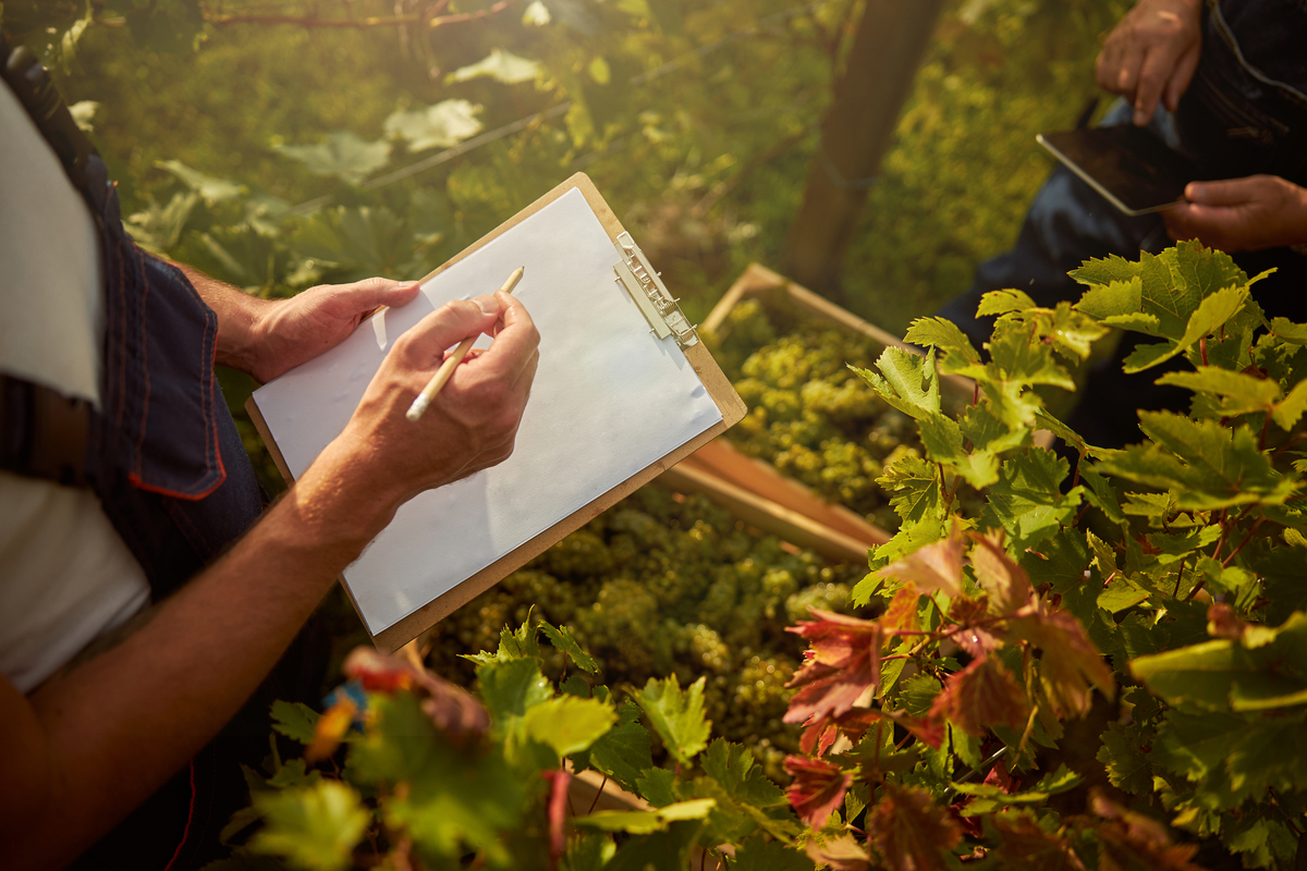 o que é custo rural: homem segurando telefone em ambiente natural