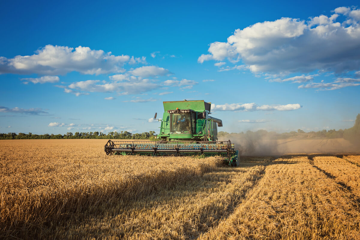 contabilidade rural e agronegócio: máquina agrícola realizando colheita