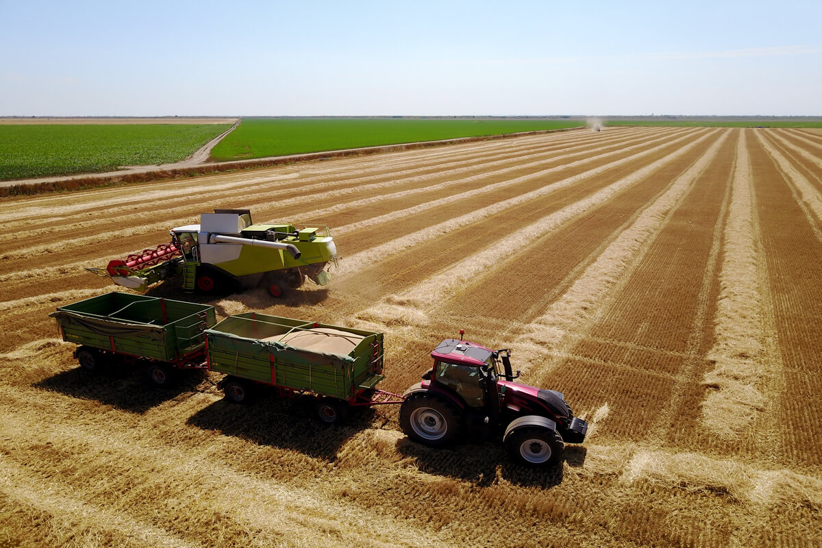 desafios do agronegócio: imagem de maquinário agrícola realizando a colheita