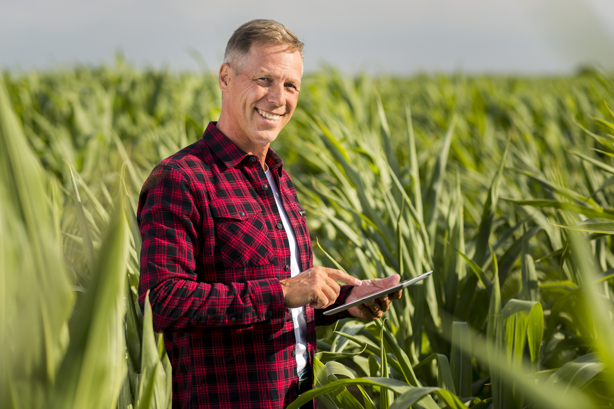 Compensação de prejuízos da atividade rural - agronota