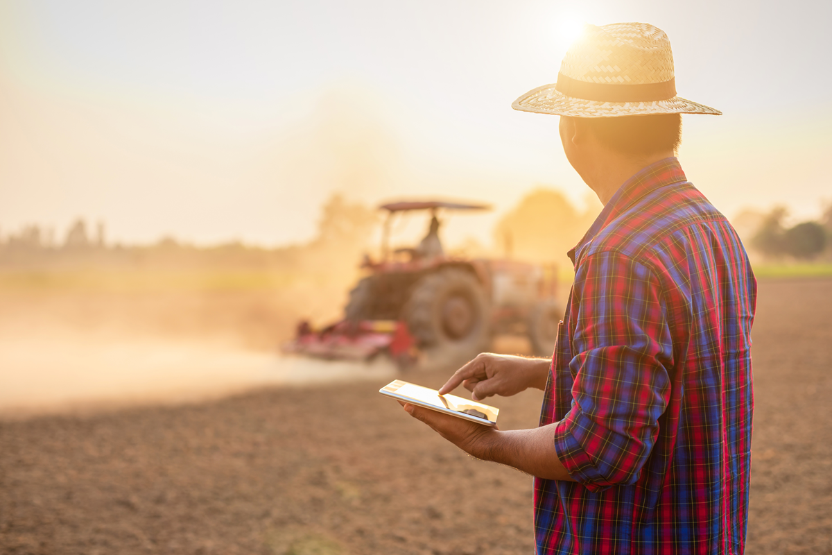 Como lançar vendas para entrega futura no LCDPR - agronota