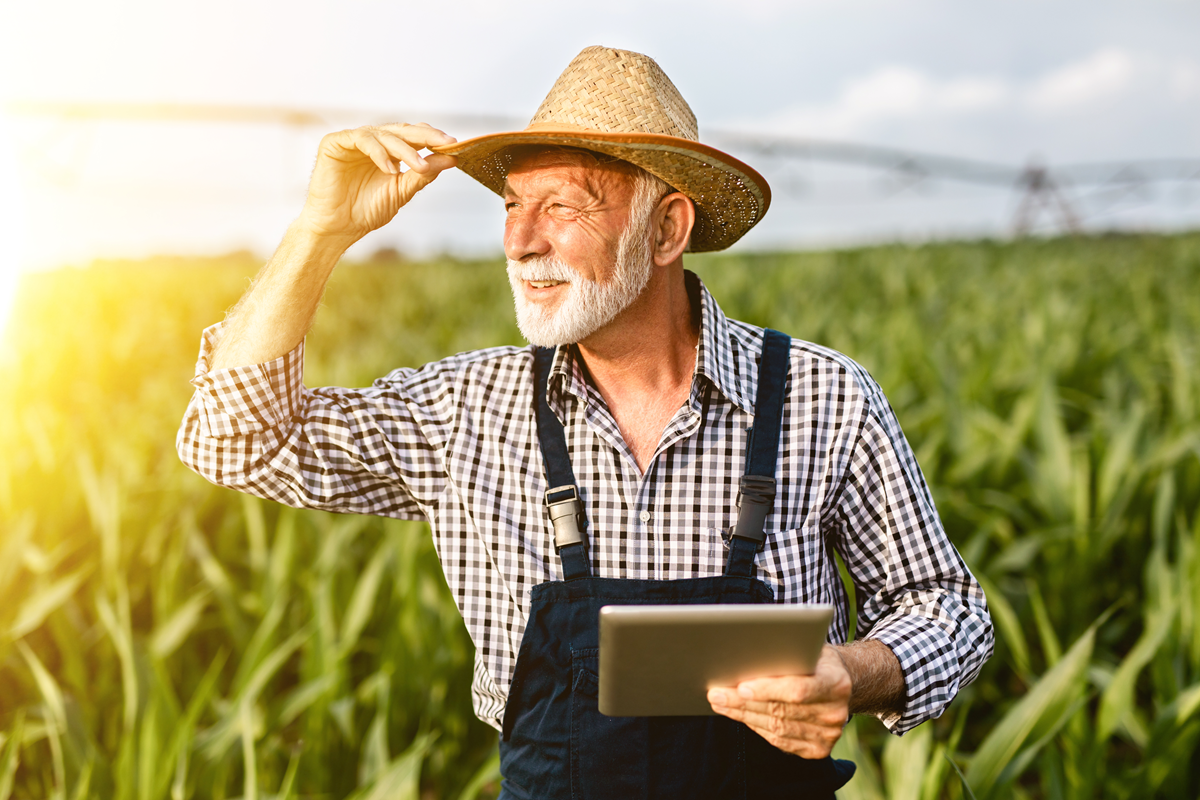 A importância da tecnologia para a contabilidade rural