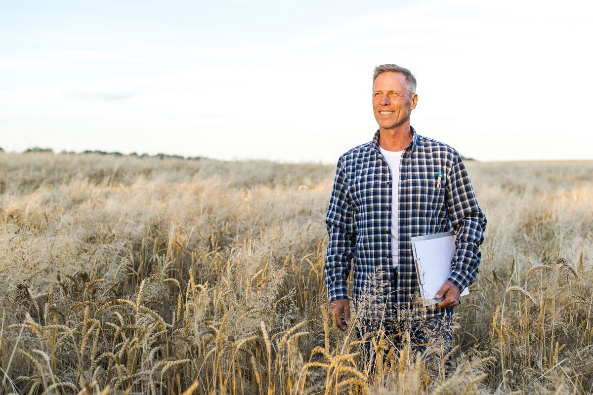 o que é lcdpr Agronota - o gerador de LCDPR mais simples e rápido