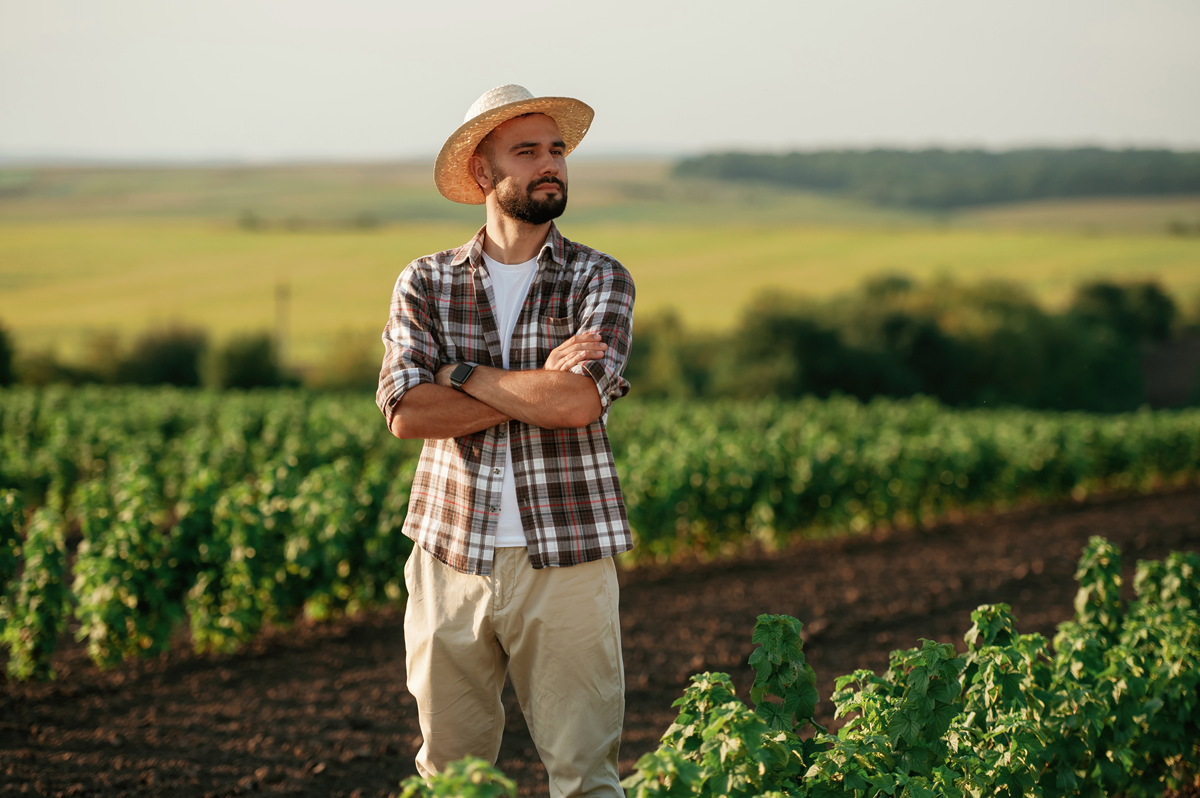 DITR - o que é e quais produtores precisam declarar e entregar - Declaração de impsotos sobre território rural - Agronota