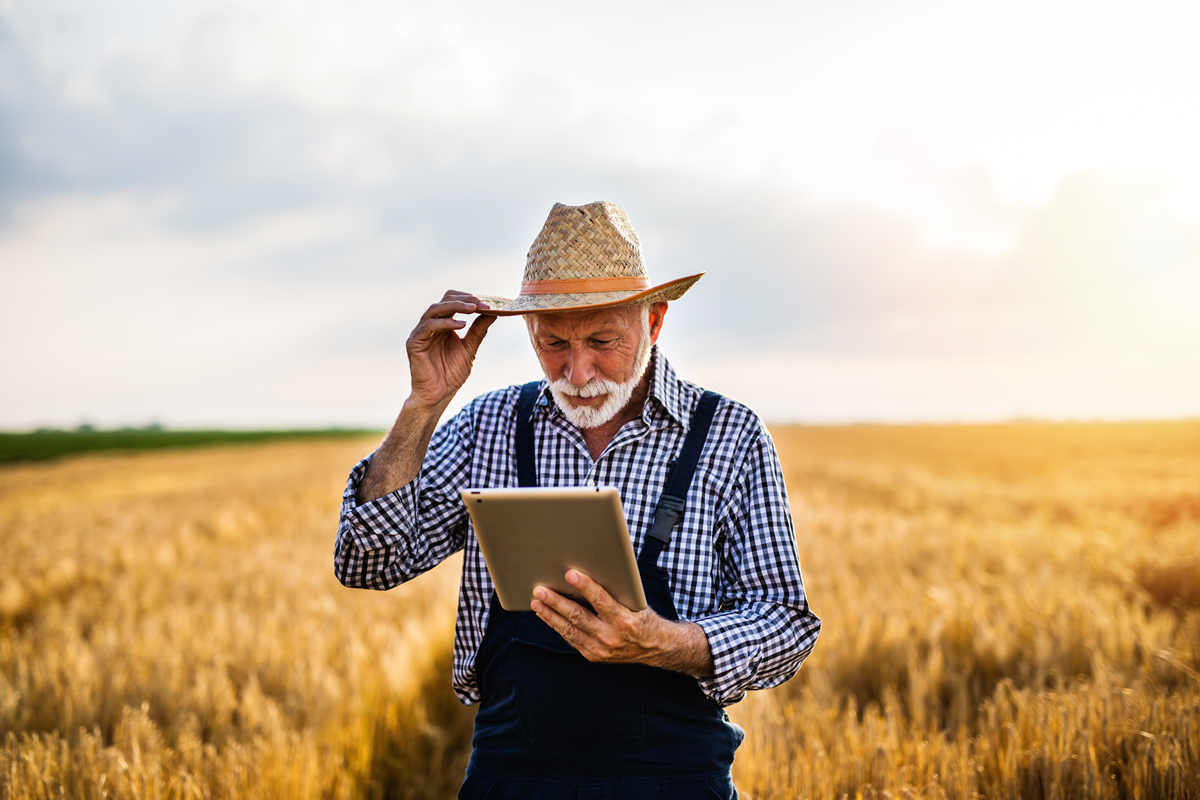 fiscalização do agronegócio - agronota