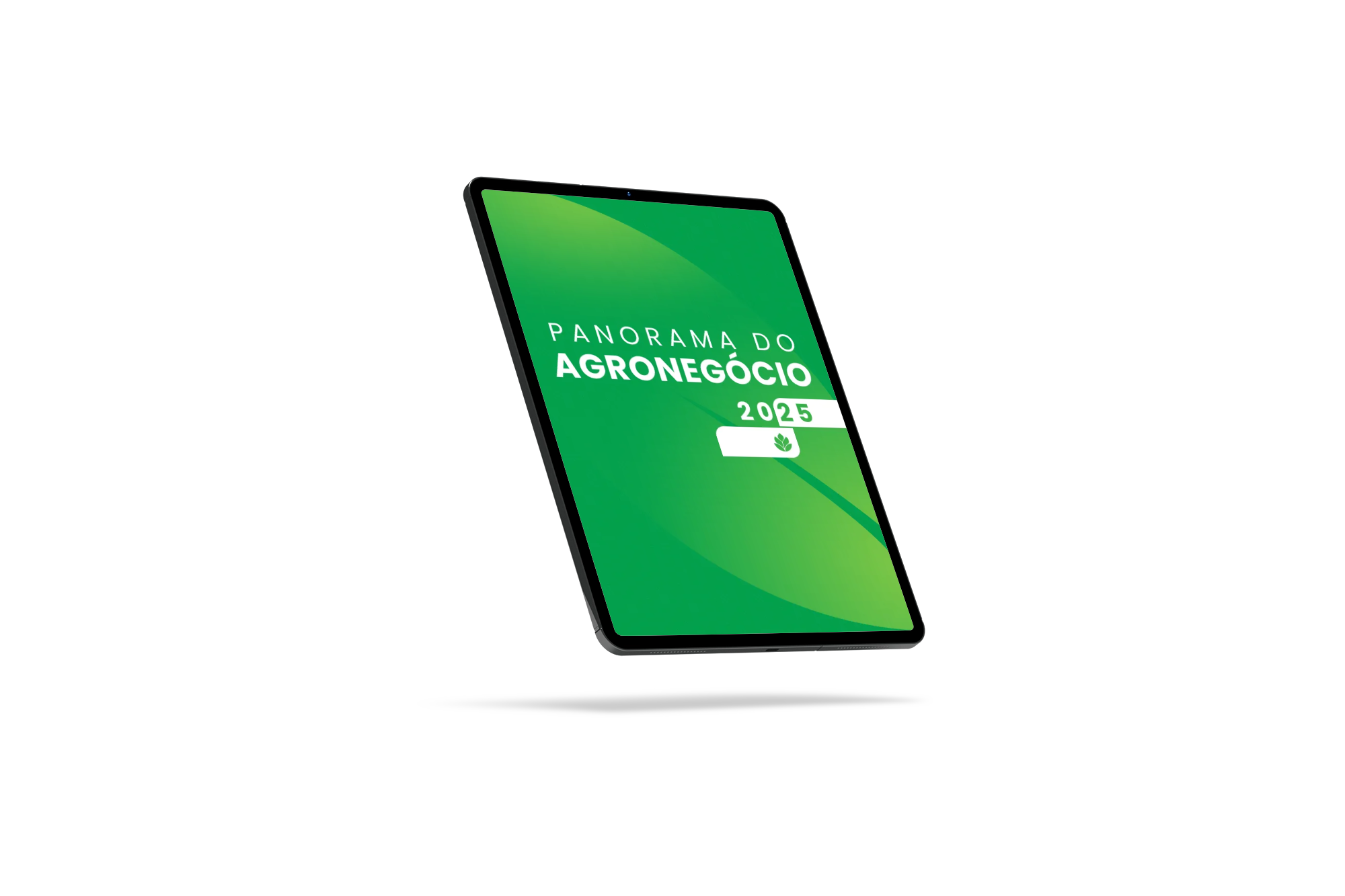 ebook panorama agronegocio em 2025