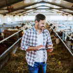 Como fazer a gestão de estoque rural