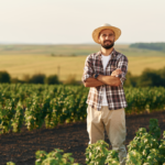 Contranota de Produtor: o que é, e em que casos deve ser emitida