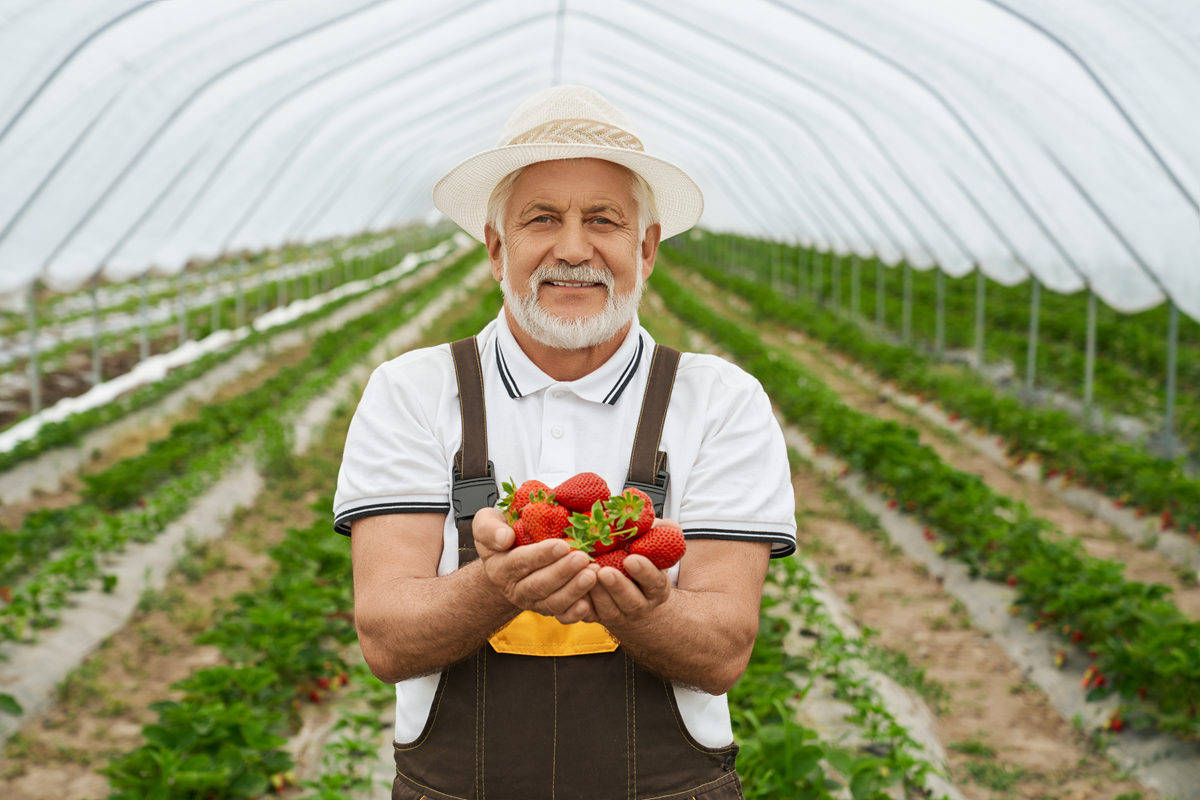 Nota Fiscal de Produtor Eletrônica é obrigatória?