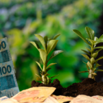 Perguntas frequentes sobre a reforma tributária no agronegócio